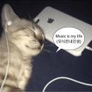 페스티벌 | 연말겸 페스티벌 후기