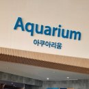 오션 아레나 이미지