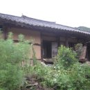 이순신 유숙지 이미지