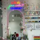 ‘컬러플레이스’ 퍼스널 컬러 + 체형분석 - 이미지 컨설팅 대표원장님 후기