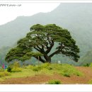 산솔