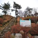 쉬리공원 티스토리