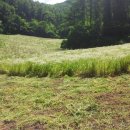 멍순농장 이미지