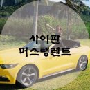 (주)아시아렌트카 이미지