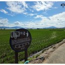 대이리마을회관 이미지