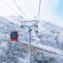 오투리조트
