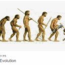 영덕파티마 마취통증의학과의원 | 대구허리디스크, 과잉진료 없는 병원 [서부통신경외과] 서부정류장역, 수자인병원, 대명동, 송현동, 본리동