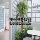 달다구니 - 달서구 수밭길 32 | 달다구니