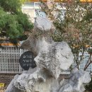 대전신흥초등학교 이미지