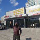 아너스오토 이미지