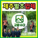 제주벌초