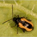 종만이농장 이미지