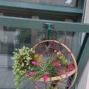 정원인테리어 이미지