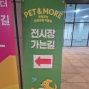 아담펫 | 🐶 [서울 박람회] 2026 펫앤모어 서울 반려동물 박람회 후기