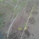 비전농장 이미지