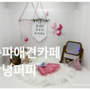 화이트 퍼피 강아지 송파점 | 강아지랑 주말 나들이! 송파소형견전용 실내놀이터 ‘안녕퍼피’ 후기