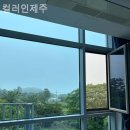 컬러인제주
