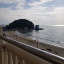 팔팔호텔 이미지