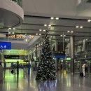 세븐일레븐동화마을 | [더블린-트롬쇠]DAY1. 첫날부터 오로라 헌팅 성공한 썰(투어 추천)