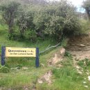 문라이트(moonlight) 이미지