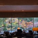 11650-17-153-6 | 일본 도쿄 여행기, 추천 맛집 카페편 (추성훈 스테이크는 정말 맛있을까? 내돈내산 후기)