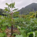 새순2농장 이미지