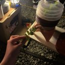 GS25창녕부곡점 | 대구 근교 캠핑장 경남 창녕 부곡허브농원 애견동반 가족 가을 나들이