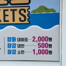 거제 갯벌체험 다대갯벌체험 4살 +준비물 꿀팁