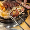 서상동편2세천 | [대구/다사·세천맛집] 분위기깡패 또가고싶은 양고기맛집 "청년양고기 다사세천점"