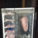 숯골농장 이미지