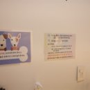 댕굴댕굴 네이버블로그