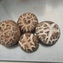 고지농장 이미지