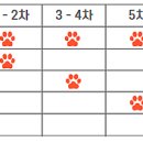 동물병원 비헤이브 이미지