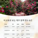 동백죽