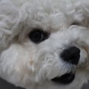폴리파크곡반정점 네이버블로그