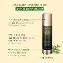 피누스 스토어 가경 네이버블로그