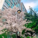 파리바게뜨 대구평리점 | 파리바게트 대구 평리점 방문후기