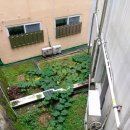 선우정경로당 이미지