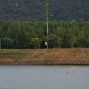 성남동 고수부지 주차장 이미지