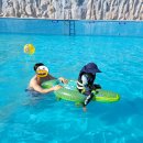 대산오션뷰 스파펜션&리조트 이미지