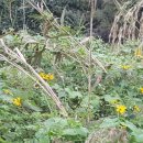 신동아빌라.시네하우스 이미지