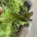 광명농장2 이미지