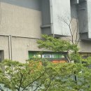 쓰리업샵 이미지