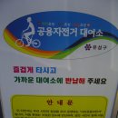 대전광역시 유성구청 Daum카페
