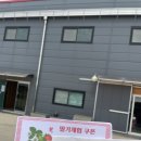 법곳농장 | 일산딸기농장 별이네딸기 체험후기, 직접 수확하는 재미!