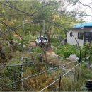 도천농장 이미지