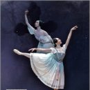 우아한 모험 발레 이미지