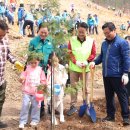 희망나무심기2 이미지