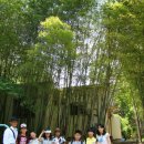 광주양림역사문화탐방 이미지