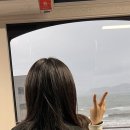 로니헤어 이미지